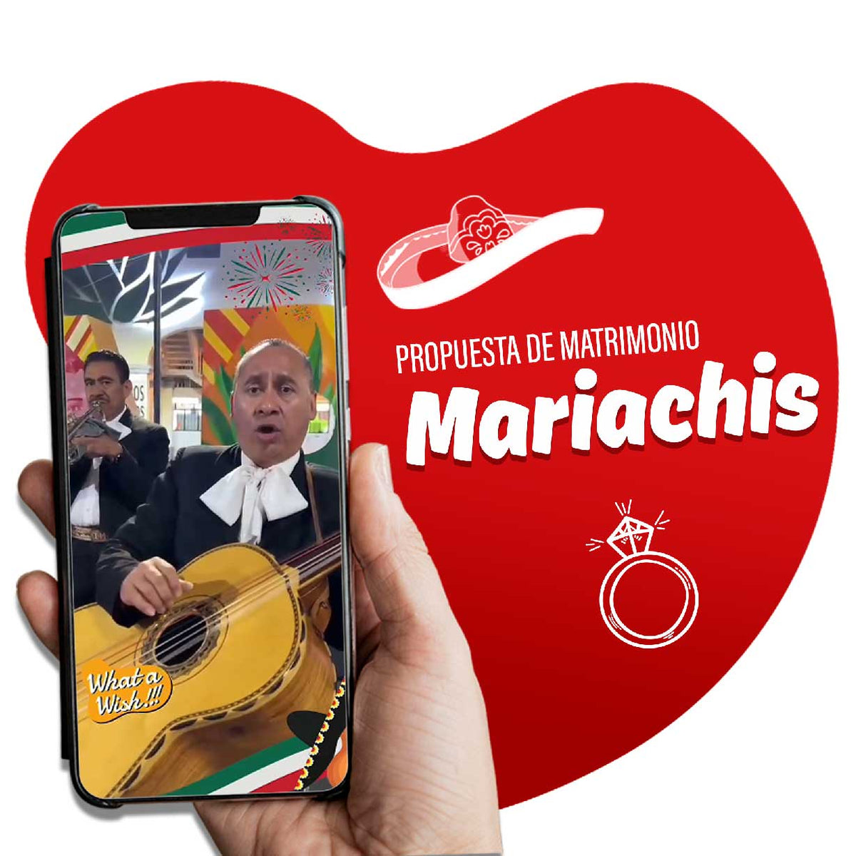 MARRIAGE PROPOSAL / Mariachis